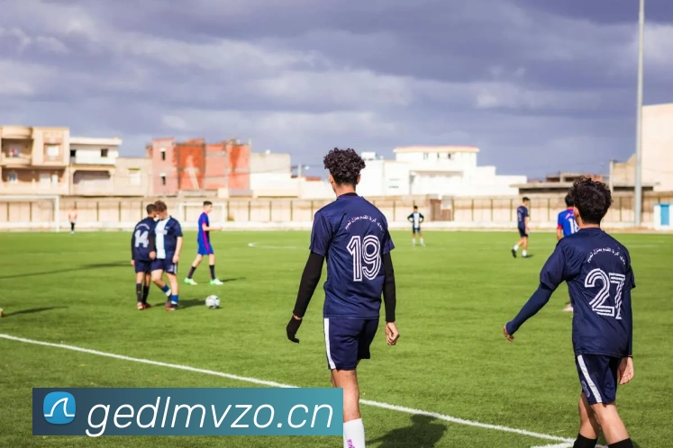 星空app官网登录入口平台生态图