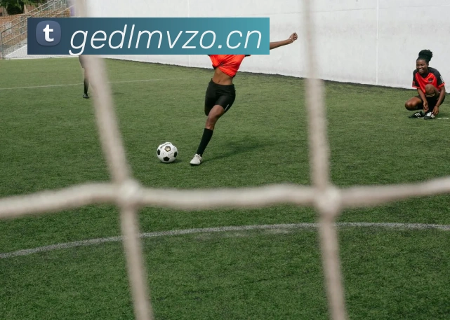 星空app官网登录入口全站App